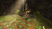 Carre-du-Chou-du-Bandit---Hinterlands-Harathis