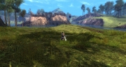 gw2-altar-brook-lair-guild-trek-3