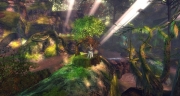 gw2-anyas-patch-guild-trek-2