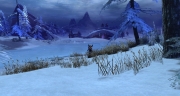 gw2-arctodus-haunt-guild-trek-2