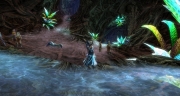gw2-backroot-fountain-guild-trek-4