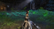 gw2-bandits-cabbage-patch-guild-trek-2
