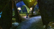 gw2-black-lion-root-cellar-guild-trek-4