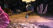 gw2-cache-of-the-pursued-guild-trek-4