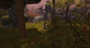 gw2-cademkrall-overlook-guild-trek-2