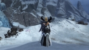 gw2-cave-spider-nidus-guild-trek-2