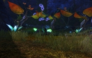 gw2-cymbels-glen-guild-trek-4
