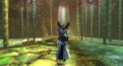 gw2-dawngleam-pergola-guild-trek-4