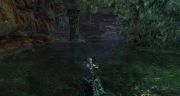 gw2-drakehatch-shore-guild-trek-2