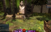 gw2-dwaynas-fount-guild-trek-4