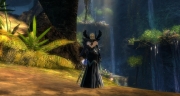 gw2-east-end-falls-guild-trek-3