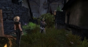 gw2-east-lurk-alley-guild-trek-3