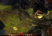 gw2-elises-suprise-guild-trek-4