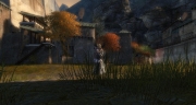 gw2-founders-flagon-hearth-guild-trek-4