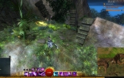 gw2-gnashars-viewpoint-guild-trek-2