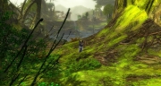 gw2-green-moa-paddock-guild-trek-4