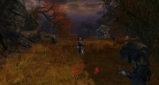 gw2-heart-speaks-notch-guild-trek-4