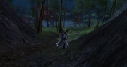 gw2-heartwoods-honey-cache-guild-trek-4