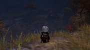 gw2-hermits-roost-guild-trek-2