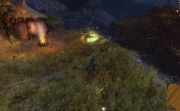 gw2-hermits-roost-guild-trek-4