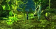 gw2-imphaunt-hallow-guild-trek-3