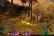 gw2-irondock-viewpoint-guild-trek-2