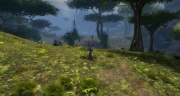 gw2-jaguar-pride-den-guild-trek-4