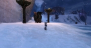 gw2-kegbrawl-watch-guild-trek-4