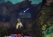 gw2-lakebottom-underpass-guild-trek-4