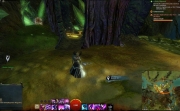 gw2-lychcroft-wardenship-guild-trek-2