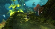 gw2-lychcroft-wardenship-guild-trek-4