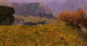 gw2-phasmatis-prospect-guild-trek-2