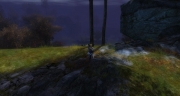 gw2-raptors-aerie-guild-trek