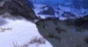 gw2-raptors-perch-4
