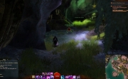 gw2-reef-drake-den-guild-trek-2