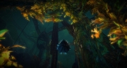 gw2-restless-footings-guild-trek-2