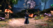 gw2-risewild-green-guild-trek-2