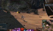 gw2-sandwurm-prowl-guild-trek-4