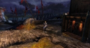 gw2-skalecatch-bucher-shop-guild-trek-4