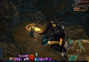 gw2-skalefound-cove-guild-trek-4