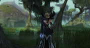 gw2-talus-steps-guild-trek-2