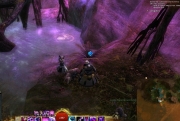 gw2-toxal-spill-guild-trek-6