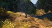 gw2-ulta-scraproom-guild-trek-3