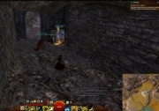 gw2-vacant-hermitage-guild-trek-3